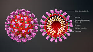 coronavirus-3